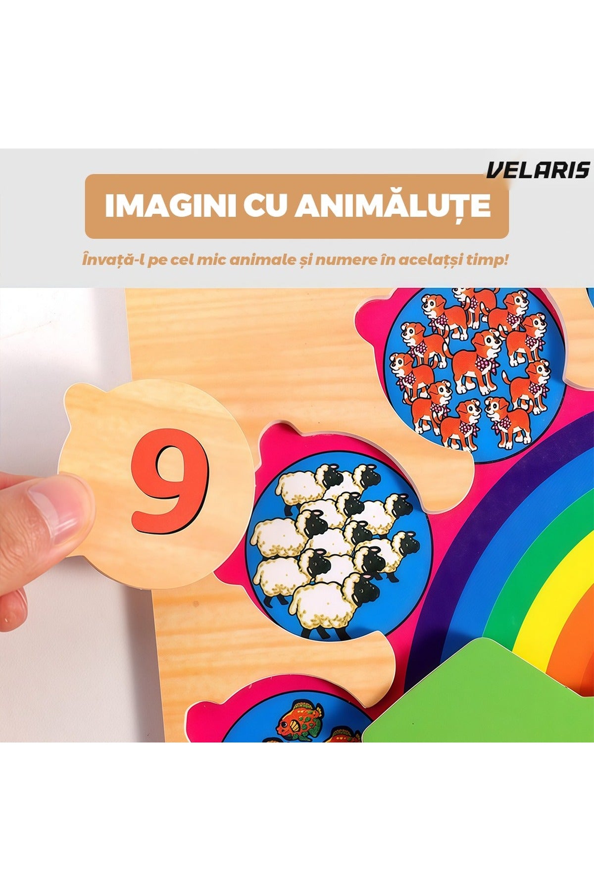 Ceas educativ din lemn cu numere detasabile si imagini ascunse, 3+ ani